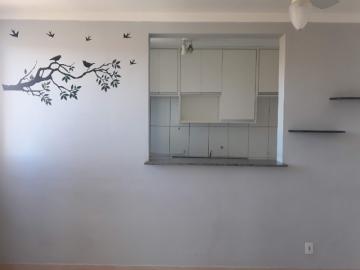Alugar Apartamento / Padrão em São José do Rio Preto. apenas R$ 145.000,00
