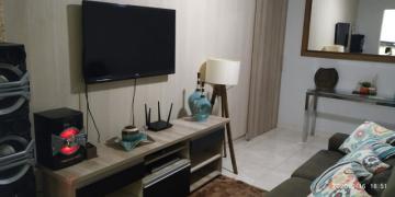 Alugar Apartamento / Cobertura em São José do Rio Preto. apenas R$ 250.000,00