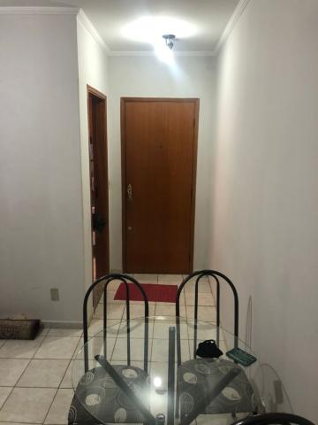 Alugar Apartamento / Padrão em São José do Rio Preto. apenas R$ 199.000,00