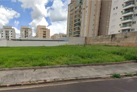Alugar Terreno / Padrão em São José do Rio Preto. apenas R$ 1.260.000,00